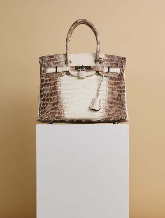 Hermes Birkin 30 Bag Diamond Himalaya Blanc Matte in Niloticus Crocodile with 18K White Gold Hardware