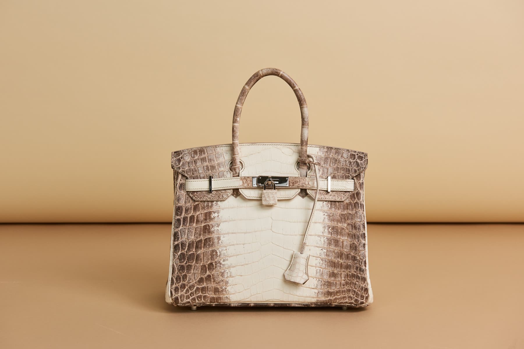 Hermès 101: The Himalaya Birkin - The Vault