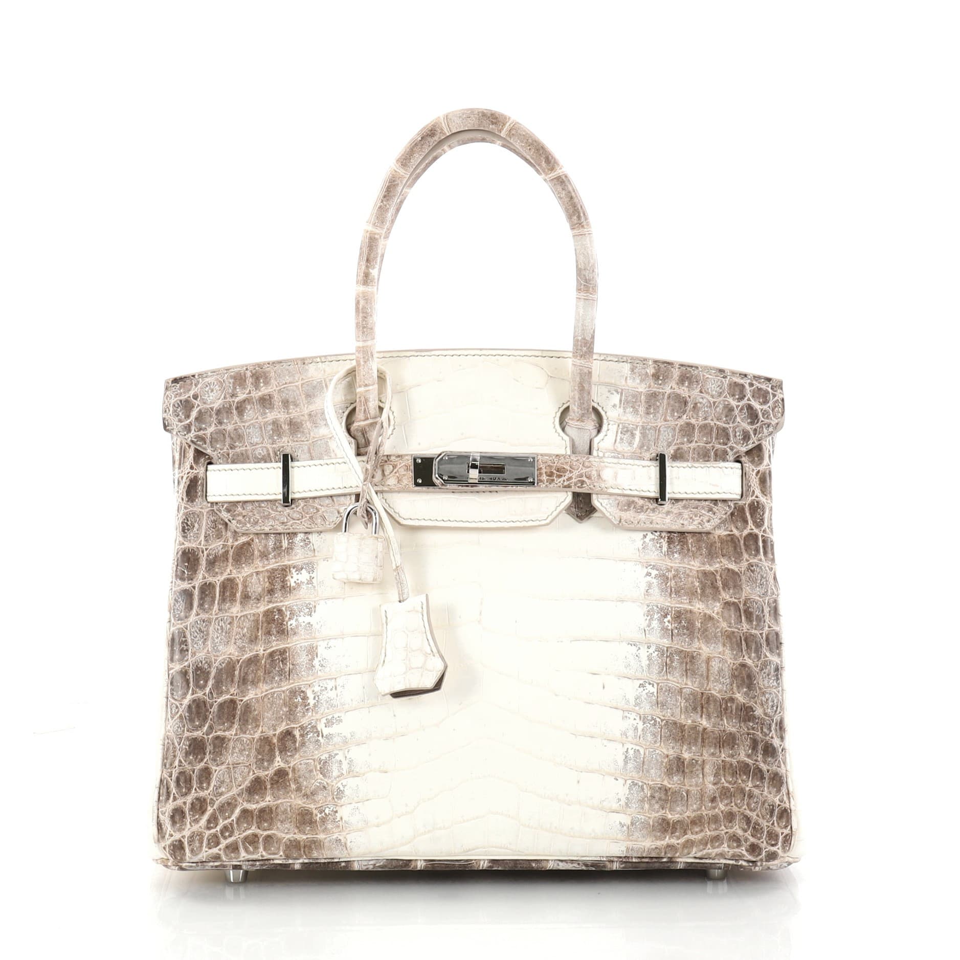 Hermes 101 Himalayan Birkin