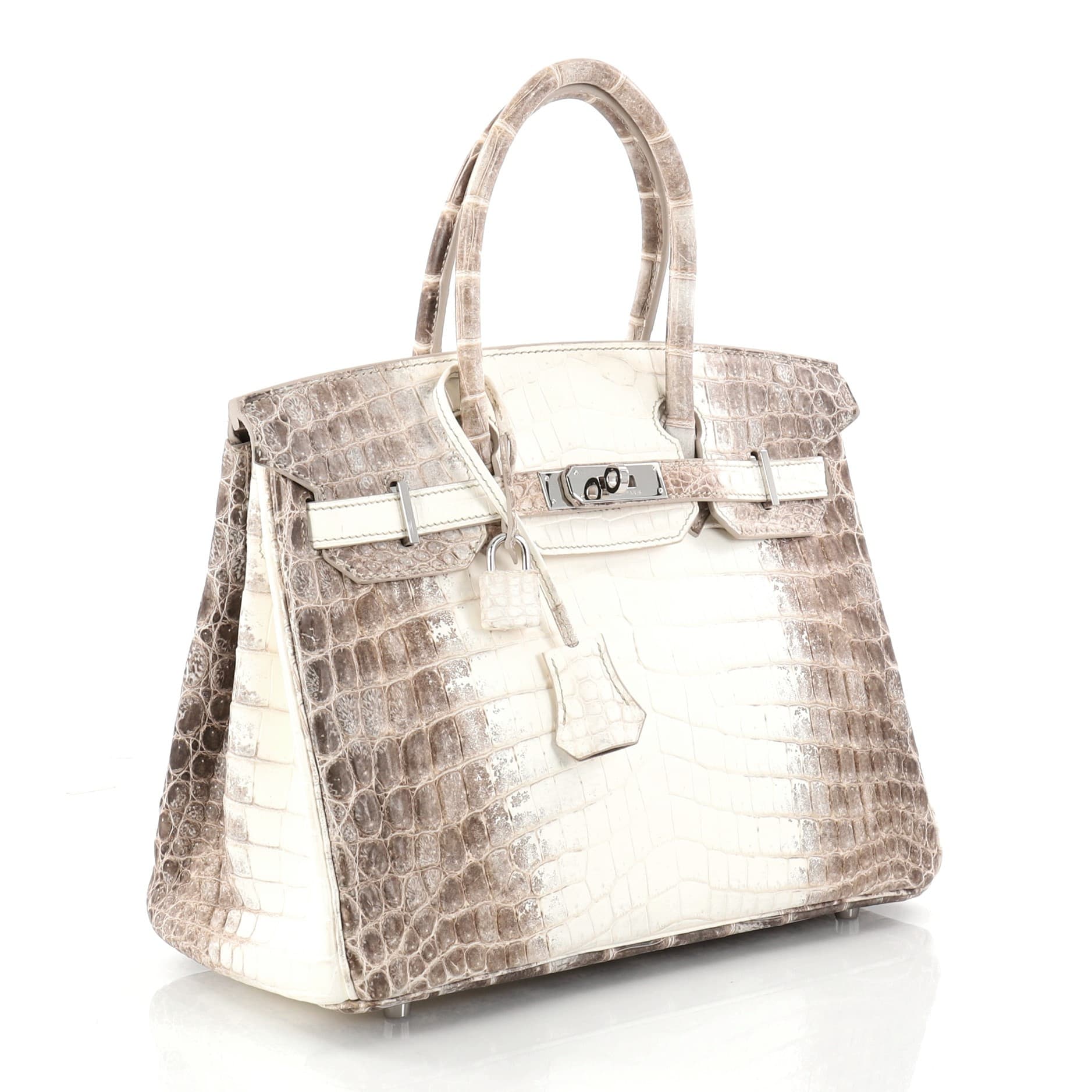 Hermes 101 Himalayan Birkin