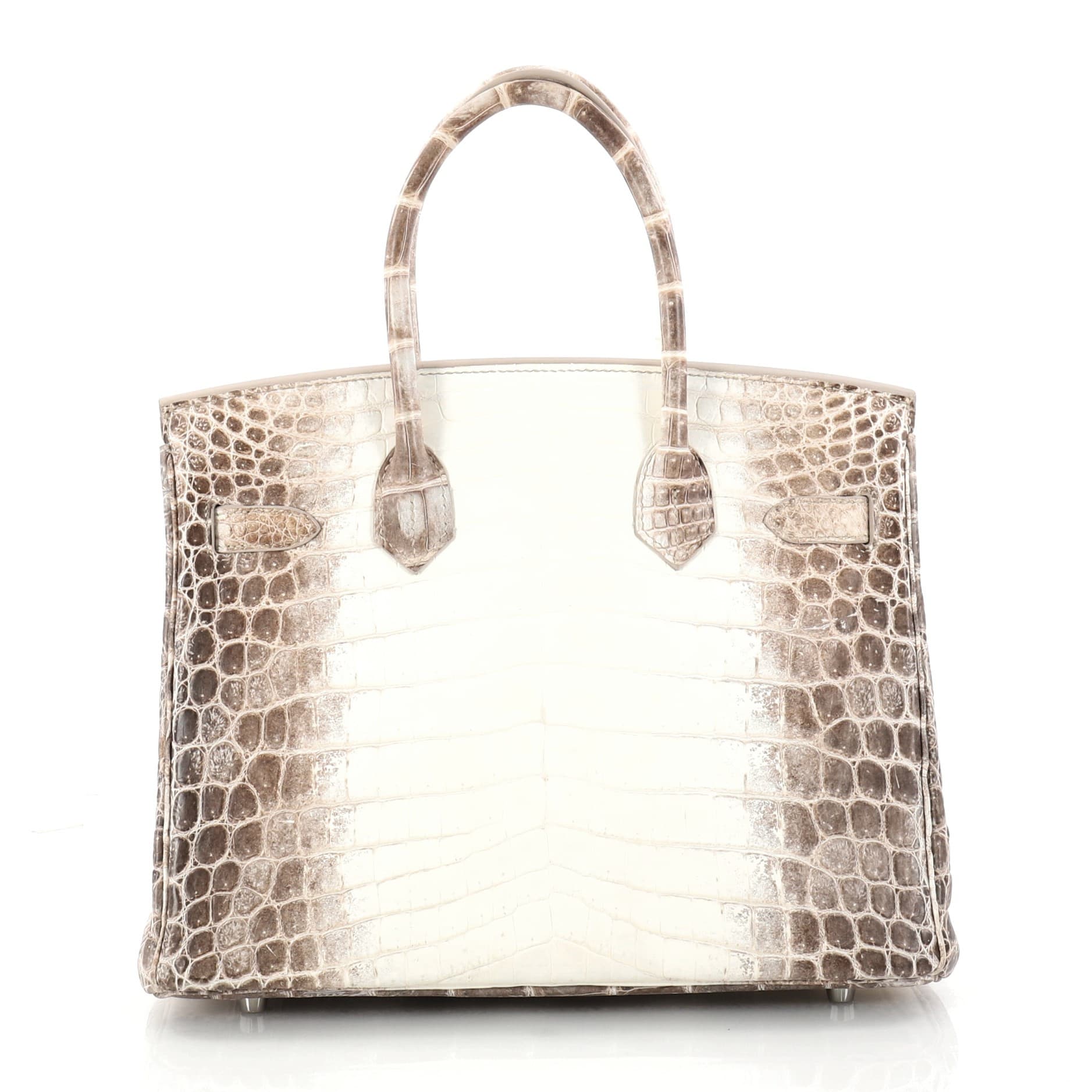 What Makes an Hermès Himalayan Crocodile Birkin So Special, Anyway