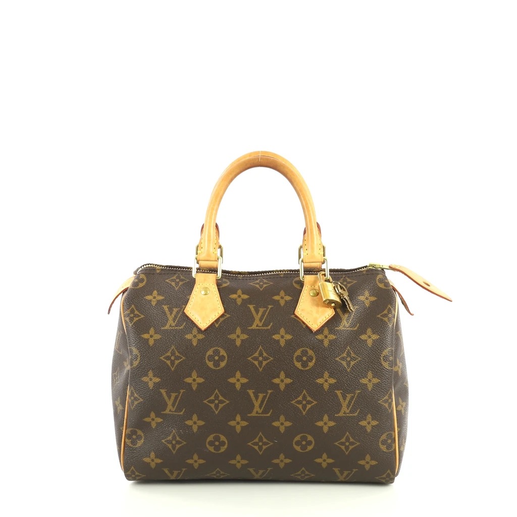 Louis Vuitton Speedy 25 Epi Leather - The Recollective