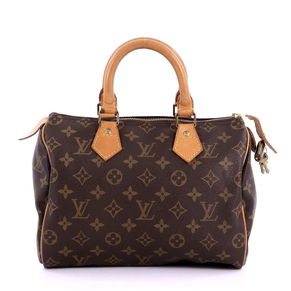 Purse Pillow for Louis Vuitton Speedy Bag Models, Bag Shaper