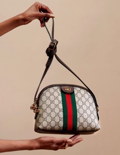 Gucci 101: The Ophidia Collection