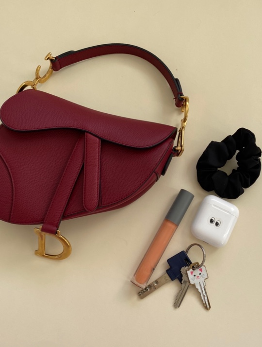 Christian Dior Saddle Bag Fit & Sizing Guide