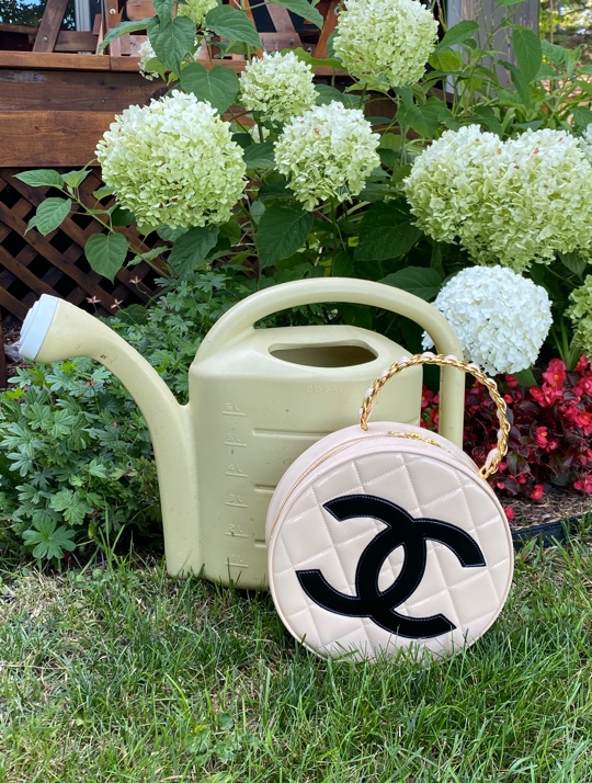 Top 5 Rare Chanel Bags