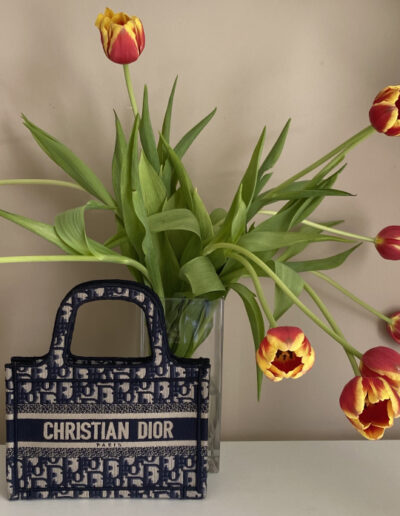 Dior 101: The Book Tote