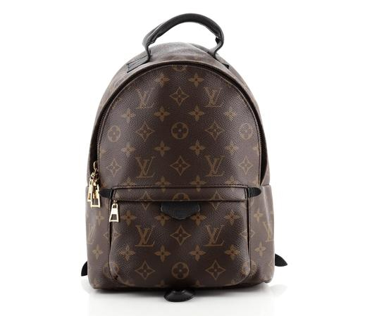 Monogram Canvas Louis Vuitton Palm Springs Backpack