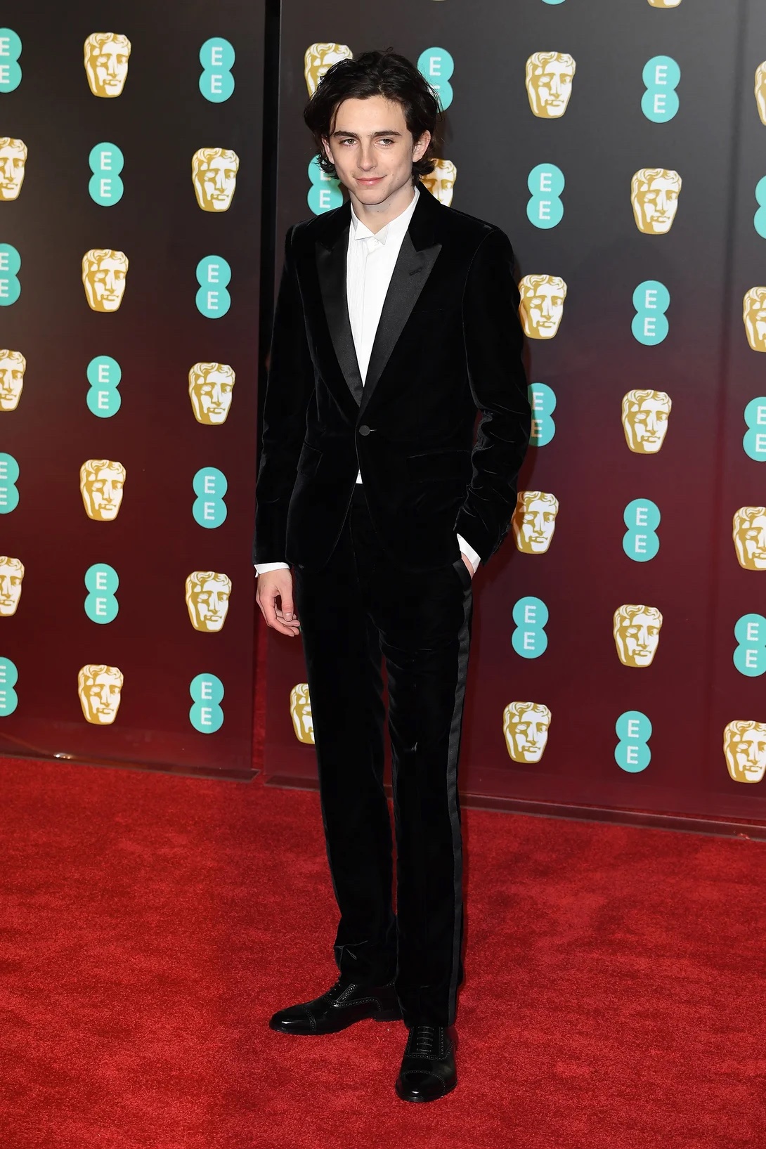 SL's 10 favorite Timothée Chalamet red carpet pics – Socialite Life