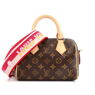 The Ultimate Size Guide for The Louis Vuitton Speedy Bag